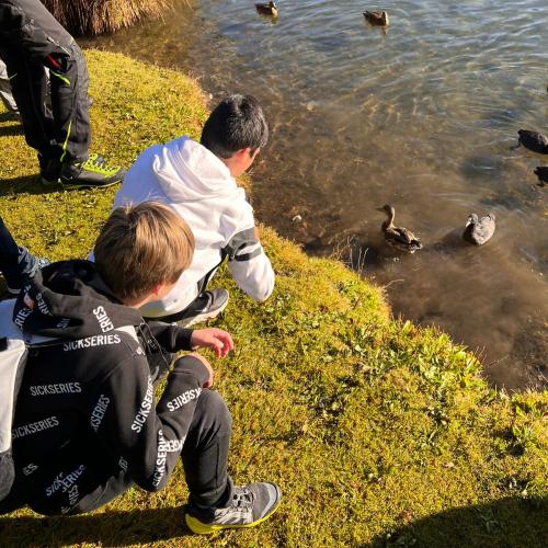 Kind und Ente