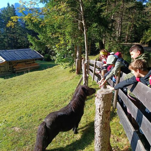 Kinder streicheln Pferd