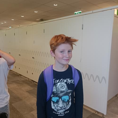verrückte haare