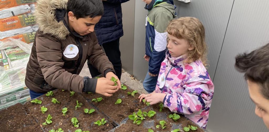 Kind pflanzt 2 Kind pflanzt 2