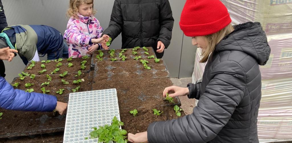 Kind pflanzt Kind pflanzt